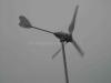 300W Wind Turbine 300W 風力發電機