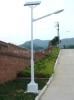 路燈 Solar street light SY-LD11