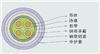 KVVP2-22 屏蔽控制电缆