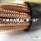 計(jì)算機(jī)屏蔽電纜JYPV-1