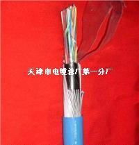 PUYV39-1鋼絲鎧裝聚氯乙烯護(hù)套煤礦用信號(hào)電纜