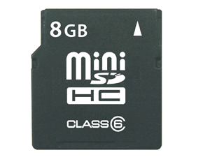 Mini SD