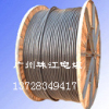广州珠江电缆VV2 10