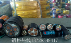 广州珠江电缆样品板
