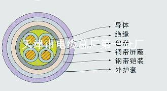 ZR-KVVP22 ZR-KVVRP22铠装阻燃屏蔽控制电缆