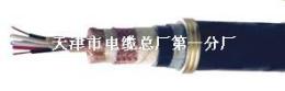 計算機電纜DJYP2V22鋼帶鎧裝計算機電纜