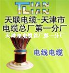 阻燃通信電纜 ZRC-HYA ZRC-HYAT ZRC-HYA23