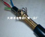 主传输电缆1X2X1 MHYVP1X4X1