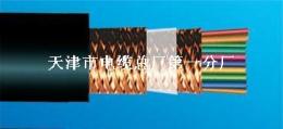 計算機屏蔽電纜DJYVP 1對-30對