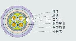 KVVP2-22450/750V4-37芯 0.75-10mm 铠装屏蔽控制电缆