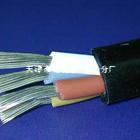 KFFP铜芯氟塑料绝缘控制电缆