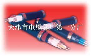 KVVP2-22钢带铠装控制电缆 450/750V 4-37芯 0.75-10mm