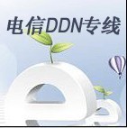 电信DDN