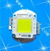 100W大功率LED白光普瑞晶片
