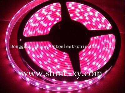 Waterproof Strip Light led strip light 5050SMD