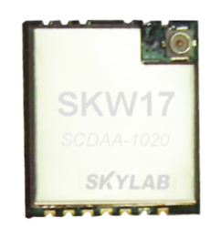 Wifi module SKW17