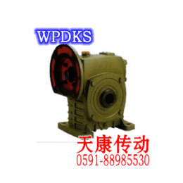 WPDKS蝸輪蝸桿減速箱
