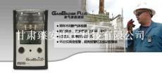 GasBadge Plus二氧化硫檢測儀
