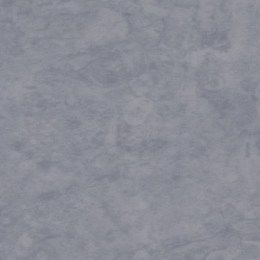 天蝎2402