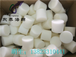 海綿射彈