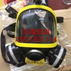 DF-02全面罩过滤式防毒面具