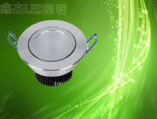 LED Canister light