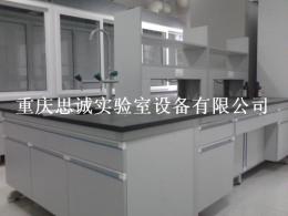湖南实验室家具-长沙全钢实验台