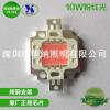 10w cob集成光源 粉红光led