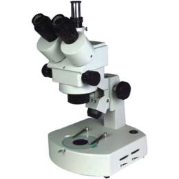 XTL系列三目连续变倍体视显微镜