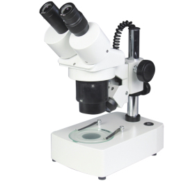 XTJ定倍体视显微镜