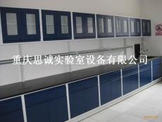 重庆实验室装修/实验室整体规划/渝北实验室吊柜