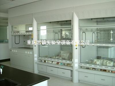 重庆通风柜 合川实验室洁净工程 南川落地式通风柜