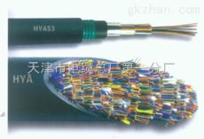 音频信号电缆HYA53