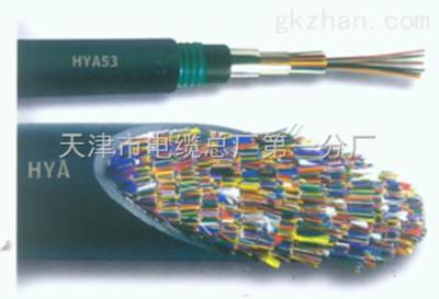 HYA53大对数通信电缆是什么意思