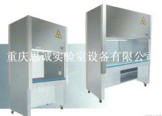 重慶實驗室家具 九龍坡生物安全柜