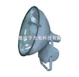 GT102防水防塵防震投光燈 華榮GT102-L1000W防水防塵防震投光燈同款批發 GT102-N1000W廠家