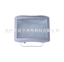 GF9151節能泛光燈 GF9151-70w 150W節能防眩泛光燈
