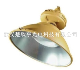 SBF6110免維護節能防水防塵防腐工廠燈 SBG6230高頂工廠燈