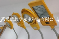 防水防塵防腐路燈 ZD002燈 ZD002-N2 250雙頭六米防腐路燈 IP55-WF1-H 6m
