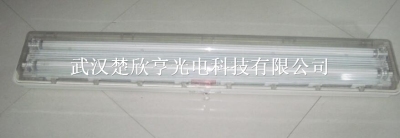 全塑LED防爆燈 楚欣亨光電供應(yīng)WT980 適用于飛利浦全塑LED防爆燈具