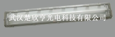 全塑LED防爆燈 楚欣亨光電供應BCX6225 適用于海洋王LED粉塵防爆防腐全塑熒光燈
