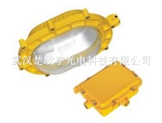 ZL8900-J150防爆節能泛光工作燈ZL8900 眾朗照明防爆節能燈楚欣亨光電批發