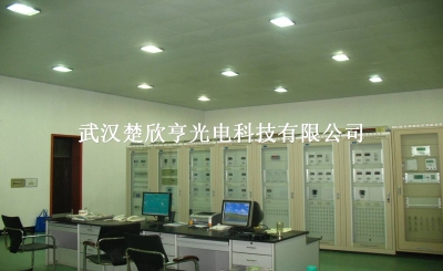 GA131-40W低頻無極燈GA131 遠光GA131低頻無極燈楚欣亨光電優惠批發