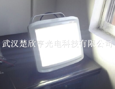ZL8834 LED泛光燈ZL8834 眾朗ZL8834泛光燈 楚欣亨光電優(yōu)惠批發(fā)