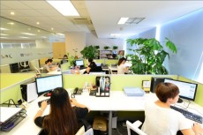 咖啡豆進口報關代理/進口流程資料
