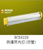 正辉BCX6228-2X40W防爆双管荧光灯厂家型号