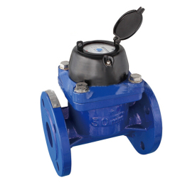 DN50 Irrigation Water Meter