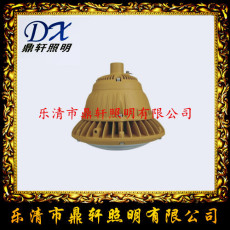 鼎軒照明TGF762A-100WLED防爆平臺燈