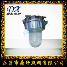 鼎軒照明G7710C防爆防眩泛燈150W金鹵燈