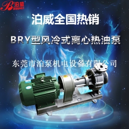 东莞RY80-50-315型导热油泵 风冷式离心热油泵